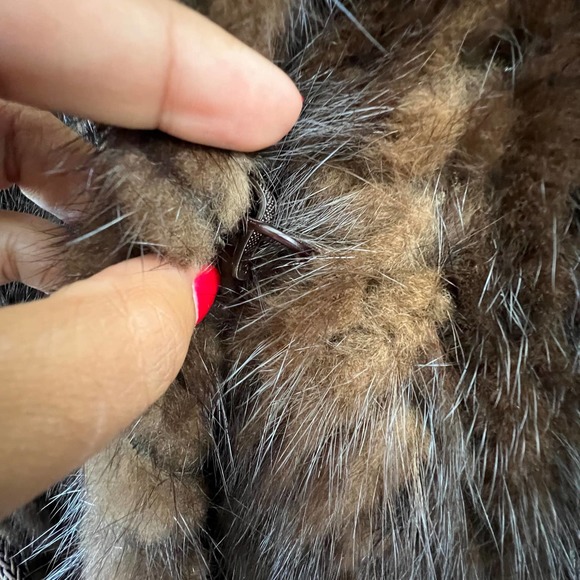 Vintage Saga Mink Pd Furs Brown Mink Tie Waist Fur Coat Size Small - Picture 9 of 16